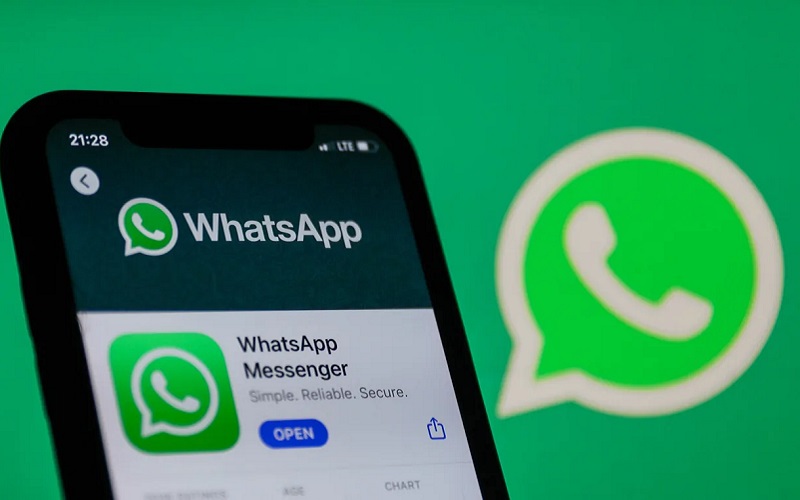 WhatsApp商业账号
